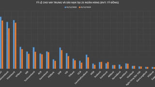 Ngân hàng nào 'sở hữu' tỷ lệ cho vay trung, dài hạn lớn nhất hệ thống trong năm 2020?