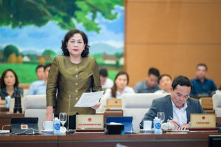 Thống đốc Nguyễn Thị Hồng: "Chưa có quy định xử lý triệt để sở hữu chéo giữa các ngân hàng"