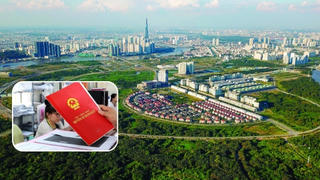 Hơn 8.800 hồ sơ bị 'nghẽn', Cục Thuế TP. HCM gửi văn bản khẩn nhờ 'khơi thông'