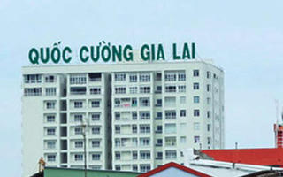Quốc Cường Gia Lai: Doanh thu BĐS tăng 31%, lãi vẫn không nổi 1 tỷ, thấp nhất 9 năm qua