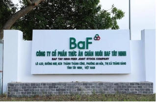 Dự kiến tăng quy mô trong năm 2023, BAF thay đổi mục đích sử dụng lô trái phiếu 300 tỷ