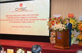 Số phận của 12 đại dự án thua lỗ sau nhiều năm tái cơ cấu
