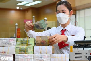 ‘Nếu chờ đến quý IV mới nới room tín dụng sẽ mất cơ hội phục hồi’