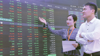 Cổ phiếu BĐS vốn hóa vừa và nhỏ hút dòng tiền trong tháng 8, SSH lên gấp gần 5 lần