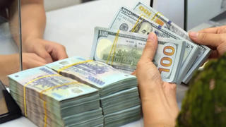 Tỷ giá USD/VND lập đỉnh mới, DN ứng phó những áp lực mới