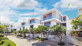 Xây dựng Đông Sơn đầu tư khu dân cư 484 ở Thanh Hoá
