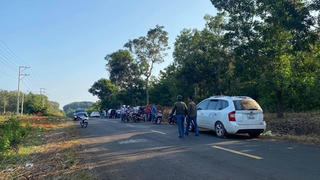 Lại sốt đất cục bộ tại nhiều địa phương thị trường bất động sản phía Nam