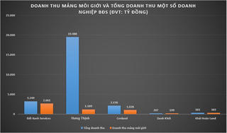 'So găng' các doanh nghiệp môi giới bất động sản: Cenland bị các 'ông lớn' cùng ngành bỏ xa