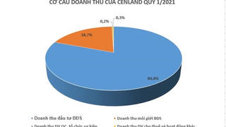 Cenland báo lãi gấp 3 cùng kỳ nhờ hoạt động đầu tư thứ cấp