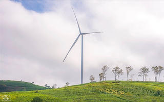 Đà Lạt có thêm 2 dự án điện gió tổng vốn đầu tư hơn 4.300 tỷ đồng 