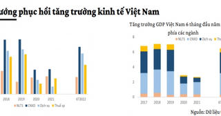 Bức tranh phục hồi kinh tế và tăng trưởng của Việt Nam