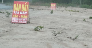 Quảng Bình xử lý việc phân lô, bán nền đất nông, lâm nghiệp trái phép