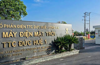 Cận cảnh những nhà máy điện mặt trời dính nhiều sai phạm tại Long An