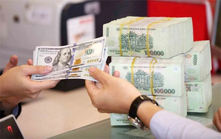 Tỷ giá nổi sóng đầu năm: Chưa dứt nỗi lo lớn trong 2024