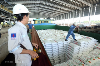 Đạm Cà Mau: Lên kế hoạch lợi nhuận năm 2024 giảm tới 42%