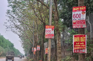 Dự báo đất nền sẽ tiếp tục có biến động về giá
