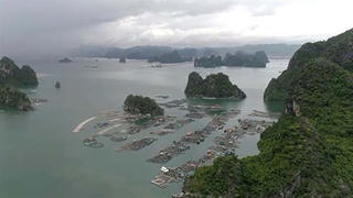 "Bức tử vịnh Bái Tử Long: Xử lý, kỷ luật cán bộ