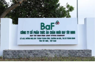 Cổ phiếu khuyến nghị hôm nay (27/9): TNG, BVH và BAF