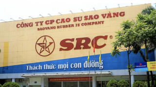 Nhiều lần kê khai thuế sai, Cao su Sao Vàng bị truy thu và phạt 1,3 tỷ đồng