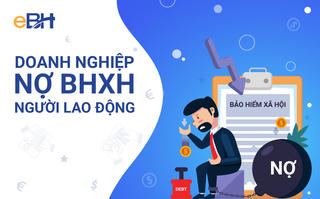 Trúng thầu hàng trăm tỷ, HTX Thành Công chậm đóng BHXH 5,6 tỷ đồng