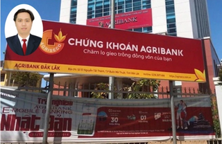 Tân tổng giám đốc Agriseco Lê Sơn Tùng là ai?