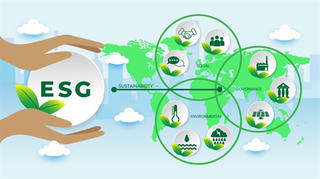 Cổ phiếu ESG-'hầm trú ẩn' cho nhà đầu tư trong đại dịch