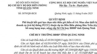 Công ty Tân An Đại Thịnh trúng nhiều gói thầu có tỉ lệ tiết kiệm ngân sách thấp