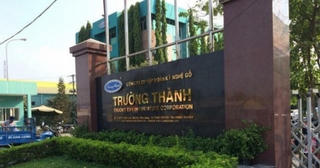 Gỗ Trường Thành bị xử phạt vì công bố sai lệch số liệu