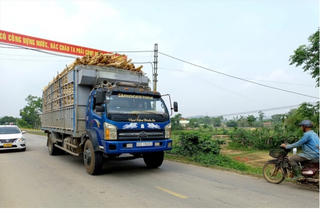 Quảng Nam tháo nút thắt về GPMB cho dự án cải tạo, nâng cấp QL 14E hơn 1.800 tỷ đồng