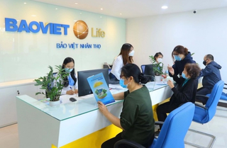 Năm 2023: Kinh doanh cốt lõi lỗ nặng, Bảo Việt có lãi nhờ đầu tư tài chính