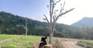 Ca sĩ Thái Thùy Linh sai phạm về đất đai, bị đề nghị xử lý vi phạm