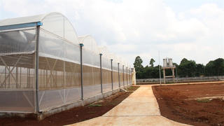 Sự thật trại thực nghiệm hàng chục tỉ xây xong rồi...bỏ không