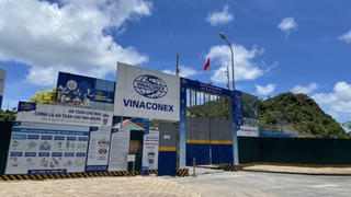 Vinaconex muốn trả cổ tức bằng cổ phiếu, tỷ lệ 12%