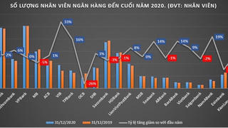 Nhân sự ngân hàng nào biến động mạnh nhất năm 2020?