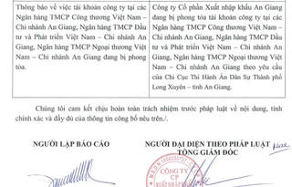 Xuất nhập khẩu An Giang bị phong tỏa tài khoản ngân hàng