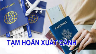 Chậm nộp thuế, Giám đốc Công ty Du học Hòa Bình bị tạm hoãn xuất cảnh
