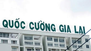 Người phụ nữ đứng sau khoản vay lớn của Quốc Cường là ai?