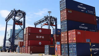 Nhập siêu 1,35 tỷ USD nửa đầu tháng 6: VN nhập gì?