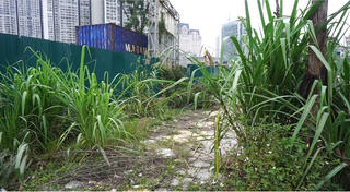 Hà Nội yêu cầu đẩy nhanh tiến độ cải tạo công viên