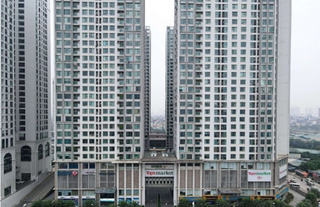 Sốt ruột giá tăng từng ngày: Vẫn chưa 'ngáo' giá, đừng vội bán sớm