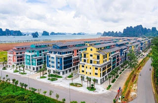 Gia hạn thời gian thuê 9,5ha đất tại Vân Đồn cho CEO Group