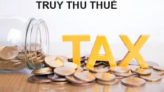 Tập đoàn Thái Bình Dương bị phạt và truy thu thuế hơn 466 triệu đồng