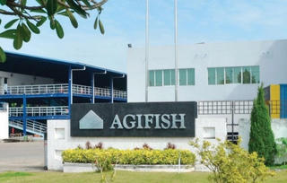 Lỗ lũy kế gần 860 tỷ đồng, Agifish bị nghi ngờ khả năng hoạt động liên tục