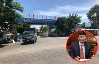 CEO Võ Thành Đàng liên tục mua gom cổ phần Đường Quảng Ngãi