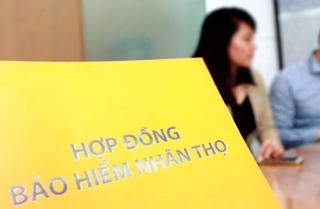 Bảo hiểm nhân thọ lợi nhuận âm: Chuyển giá hay chịu lỗ chờ thời?