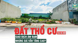 Nghịch lý đất thổ cư tại Hà Nội: Giao dịch ảm đạm nhưng giá vẫn tăng cao?