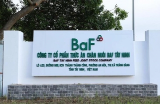 BAF lần đầu tiên báo lỗ quý kể từ khi niêm yết