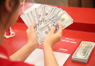 Giá USD ngân hàng tăng mạnh, lên mức kỷ lục 25.300 đồng