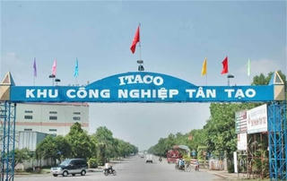 TP.HCM dừng thủ tục hải quan với hàng loạt DN nợ thuế