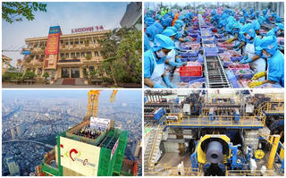 Cầm tiền đi đầu tư chứng khoán, loạt doanh nghiệp ‘tay ngang’ ôm trái đắng